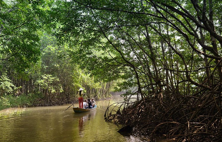 TOUR 1 NGÀY CẦN GIỜ – THAM QUAN ĐẢO KHỈ – CANO RỪNG SÁC – CHỢ HÀNG DƯƠNG