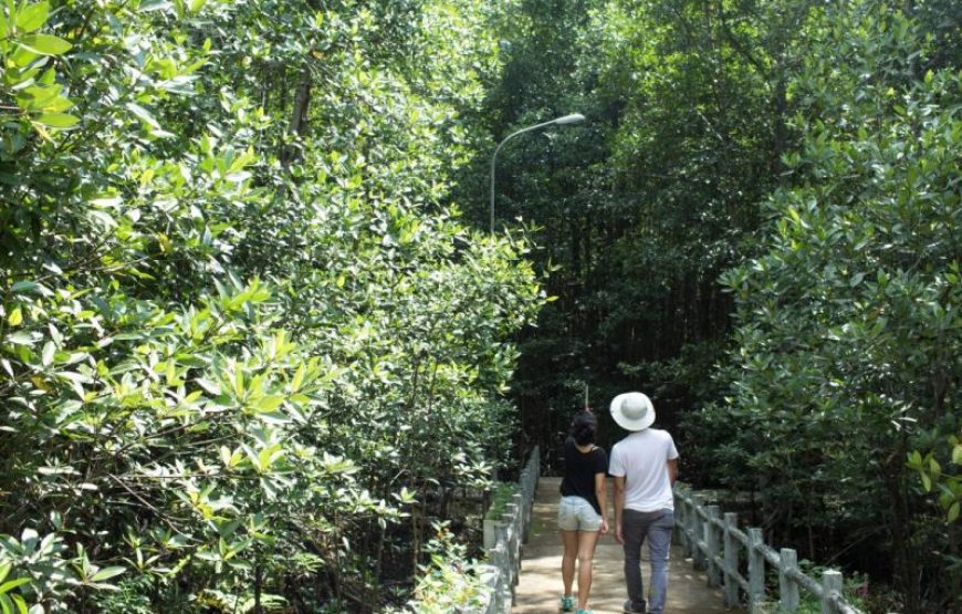 TOUR 1 NGÀY CẦN GIỜ – THAM QUAN ĐẢO KHỈ – CANO RỪNG SÁC – CHỢ HÀNG DƯƠNG