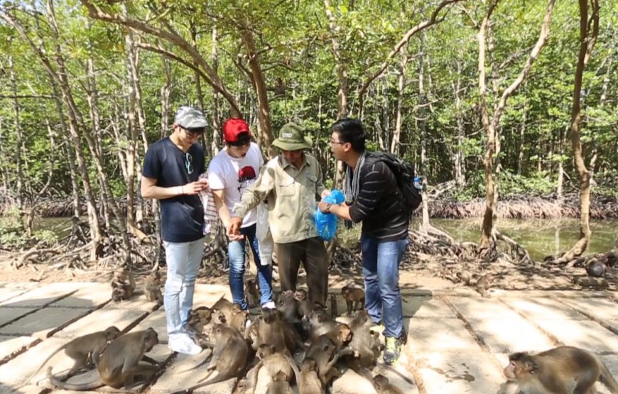 TOUR 1 NGÀY CẦN GIỜ – THAM QUAN ĐẢO KHỈ – CANO RỪNG SÁC – CHỢ HÀNG DƯƠNG