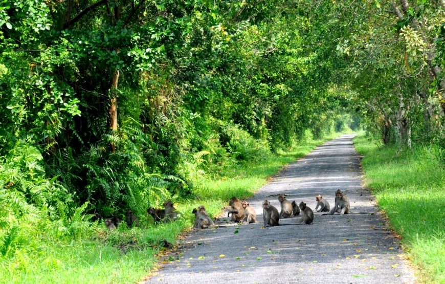 Tour 1 ngày: Khám Phá Bắc Đảo Phú Quốc – Ngắm Nhìn Biên Giới Việt – Cam