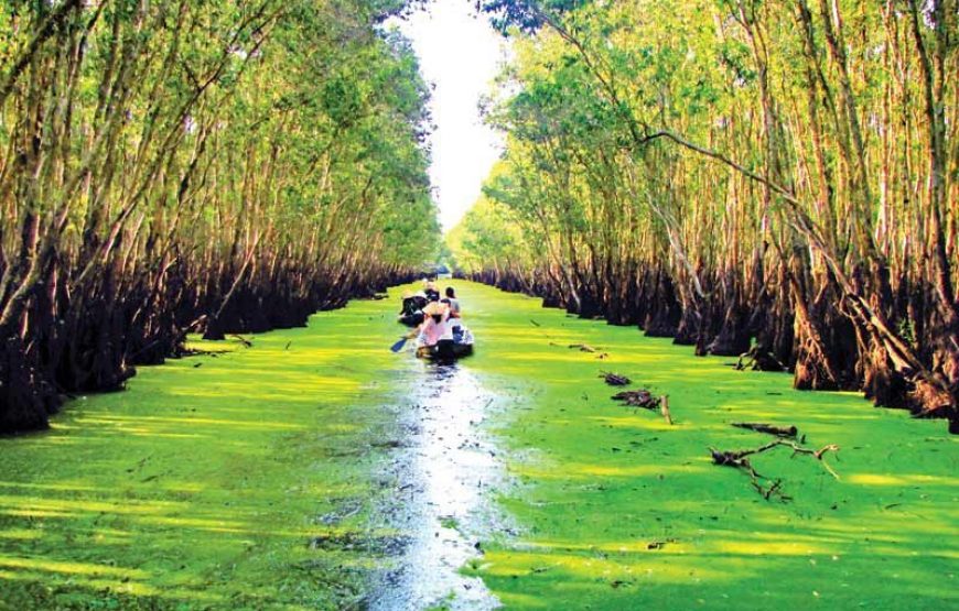 TOUR 3 NGÀY: XUYÊN TỈNH MIỀN TÂY (MỸ THO – BẾN TRE – CẦN THƠ – CHÂU ĐỐC)