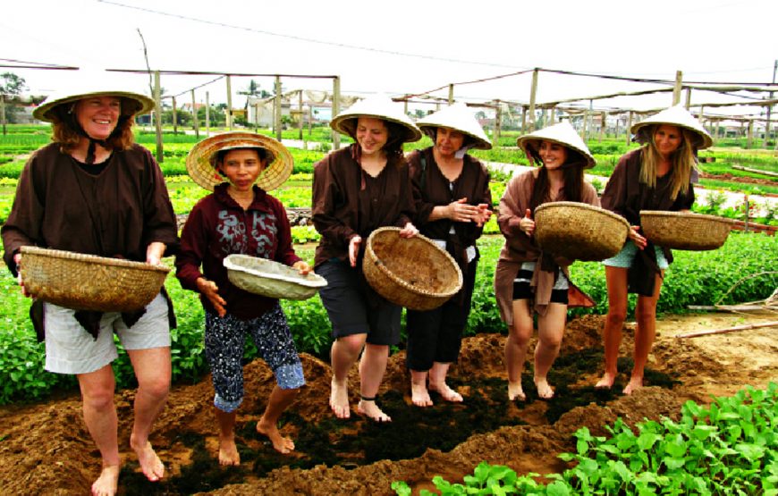 THAM QUAN VƯỜN RAU TRÀ QUẾ (NỬA NGÀY)