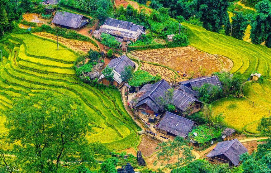 HÀ NỘI – SAPA – NINH BÌNH – HẠ LONG (5 NGÀY 4 ĐÊM)