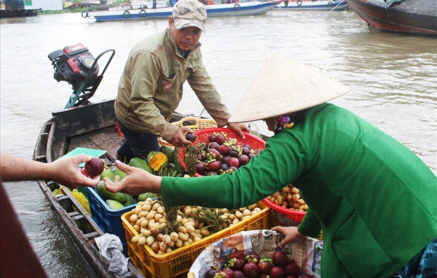 MIỀN TÂY 2 NGÀY 1 ĐÊM: MỸ THO – CẦN THƠ – CỒN SƠN -VƯỜN TRÁI CÂY