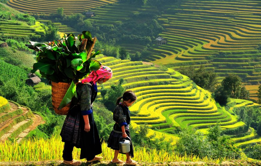 HÀ NỘI – SAPA – NINH BÌNH – HẠ LONG (5 NGÀY 4 ĐÊM)