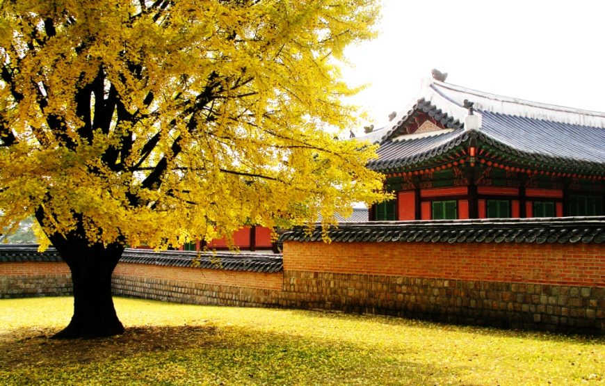 DU LỊCH HÀN QUỐC 4 NGÀY 4 ĐÊM (Seoul – Everland – Đảo Nami – Tháp Namsan)