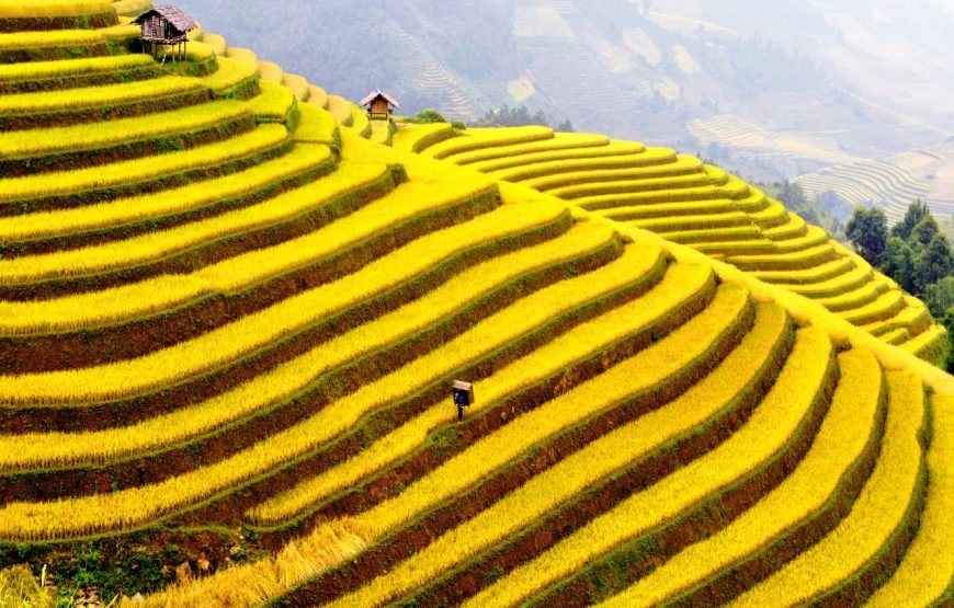 HÀ NỘI – SAPA – NINH BÌNH – HẠ LONG (5 NGÀY 4 ĐÊM)