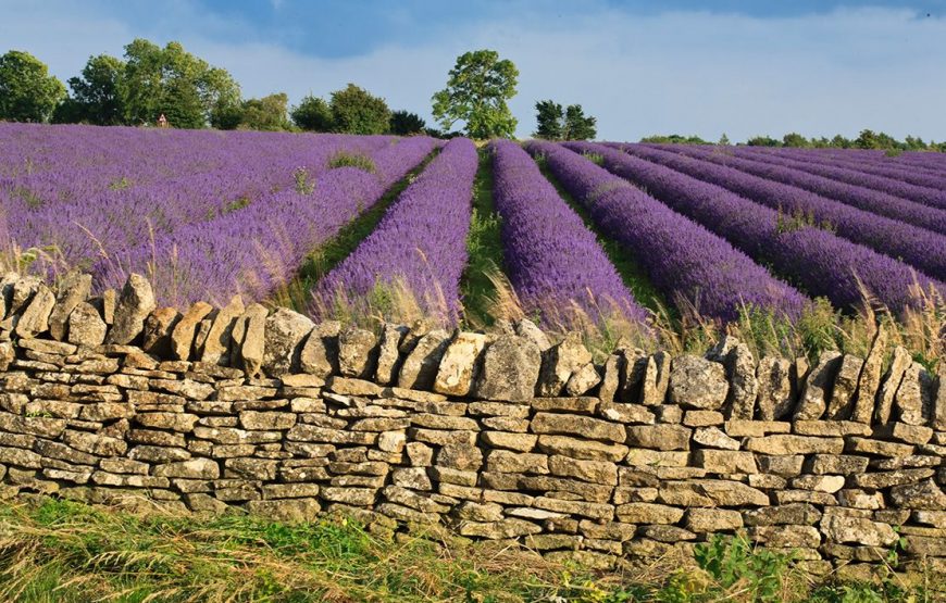 DU LỊCH CHÂU ÂU: KHÁM PHÁ VƯƠNG QUỐC ANH – SCOTLAND (10 NGÀY 9 ĐÊM)