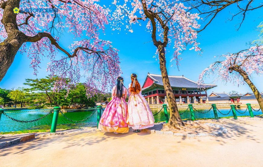 DU LỊCH HÀN QUỐC 4 NGÀY 4 ĐÊM (Seoul – Everland – Đảo Nami – Tháp Namsan)