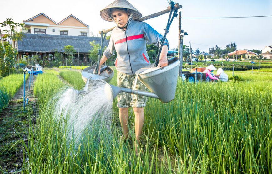 THAM QUAN VƯỜN RAU TRÀ QUẾ (NỬA NGÀY)