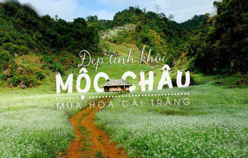 Du Lịch Mộc Châu – Mai Châu – Ninh Bình 4 ngày