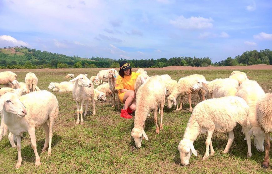 Tour du lịch 1 ngày Long Hải – Maldives Việt Nam