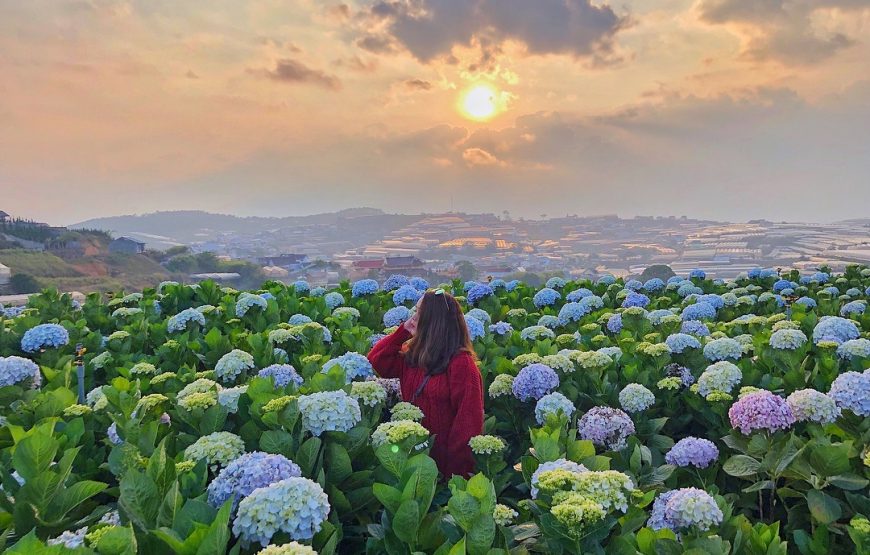 TOUR 2 NGÀY 2 ĐÊM: KHÁM PHÁ ĐÀ LẠT MỘNG MƠ