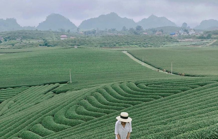 TOUR 2 NGÀY 2 ĐÊM: KHÁM PHÁ ĐÀ LẠT MỘNG MƠ