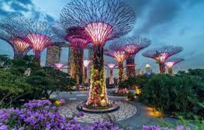 Jewel Changi – Gardens By The Bay – Sentosa – Universal