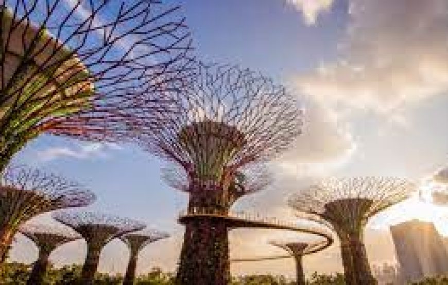 Jewel Changi – Gardens By The Bay – Sentosa – Universal