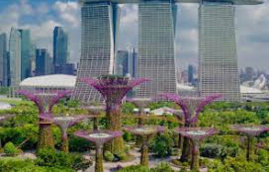 Jewel Changi – Gardens By The Bay – Sentosa – Universal